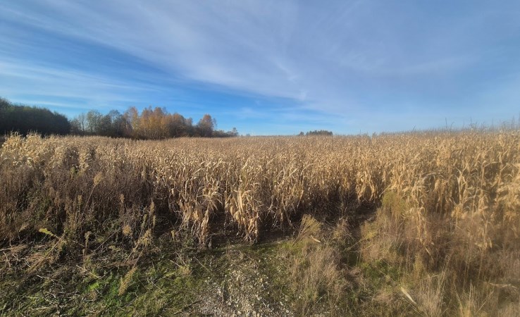 działka na sprzedaż - Mykanów, Łochynia