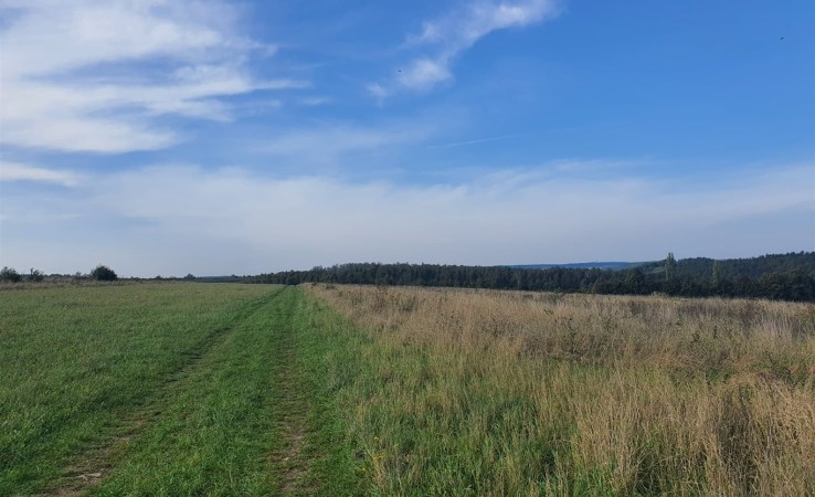działka na sprzedaż - Mstów, Zawada
