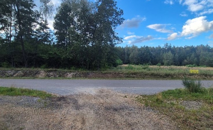 działka na sprzedaż - Poczesna, Kolonia Borek