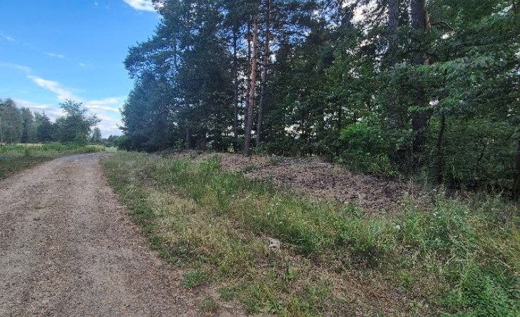 działka na sprzedaż - Poczesna, Kolonia Borek